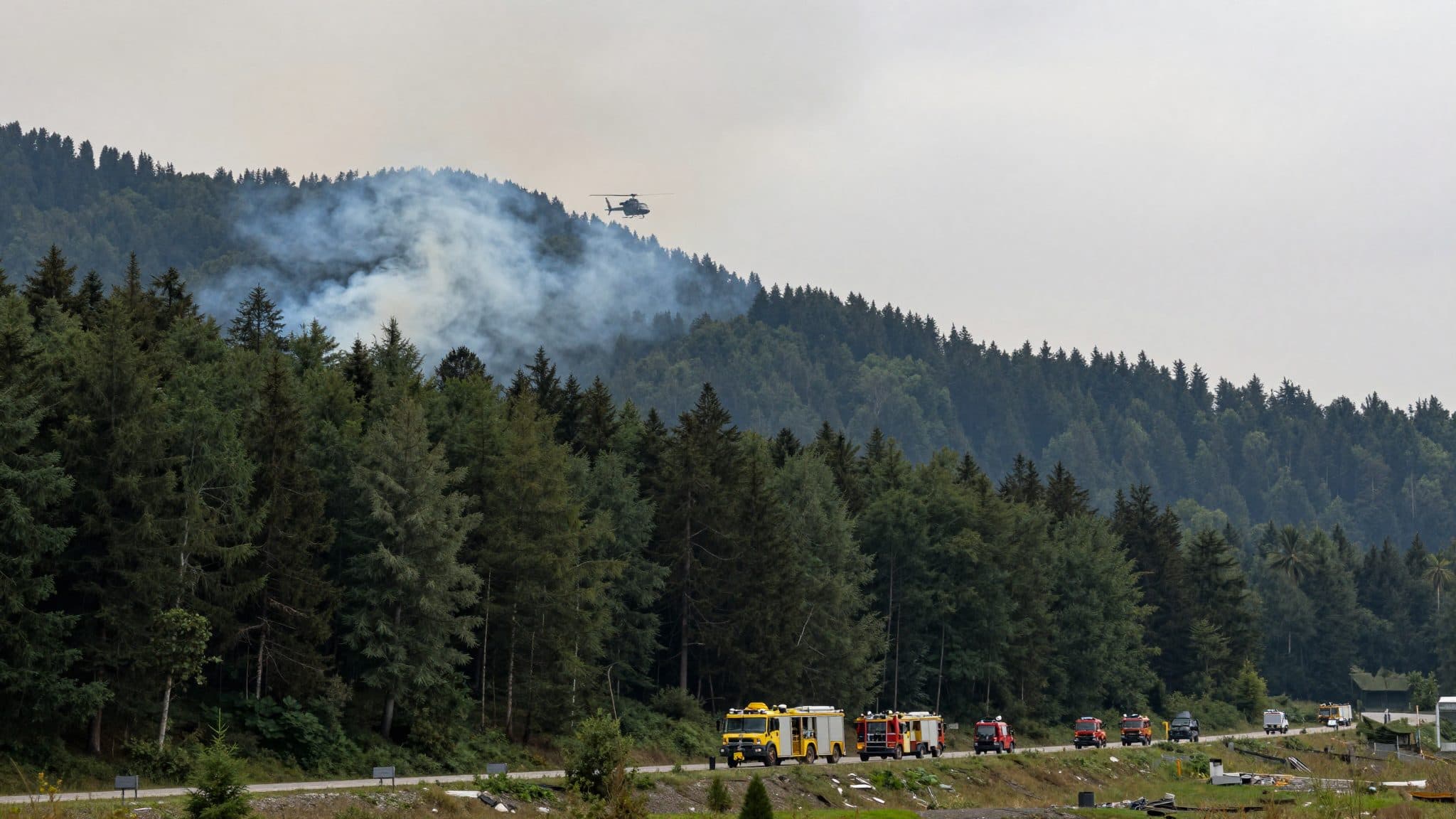 Waldbrand in Osttirol: Feuerwehren kämpfen die ganze Nacht