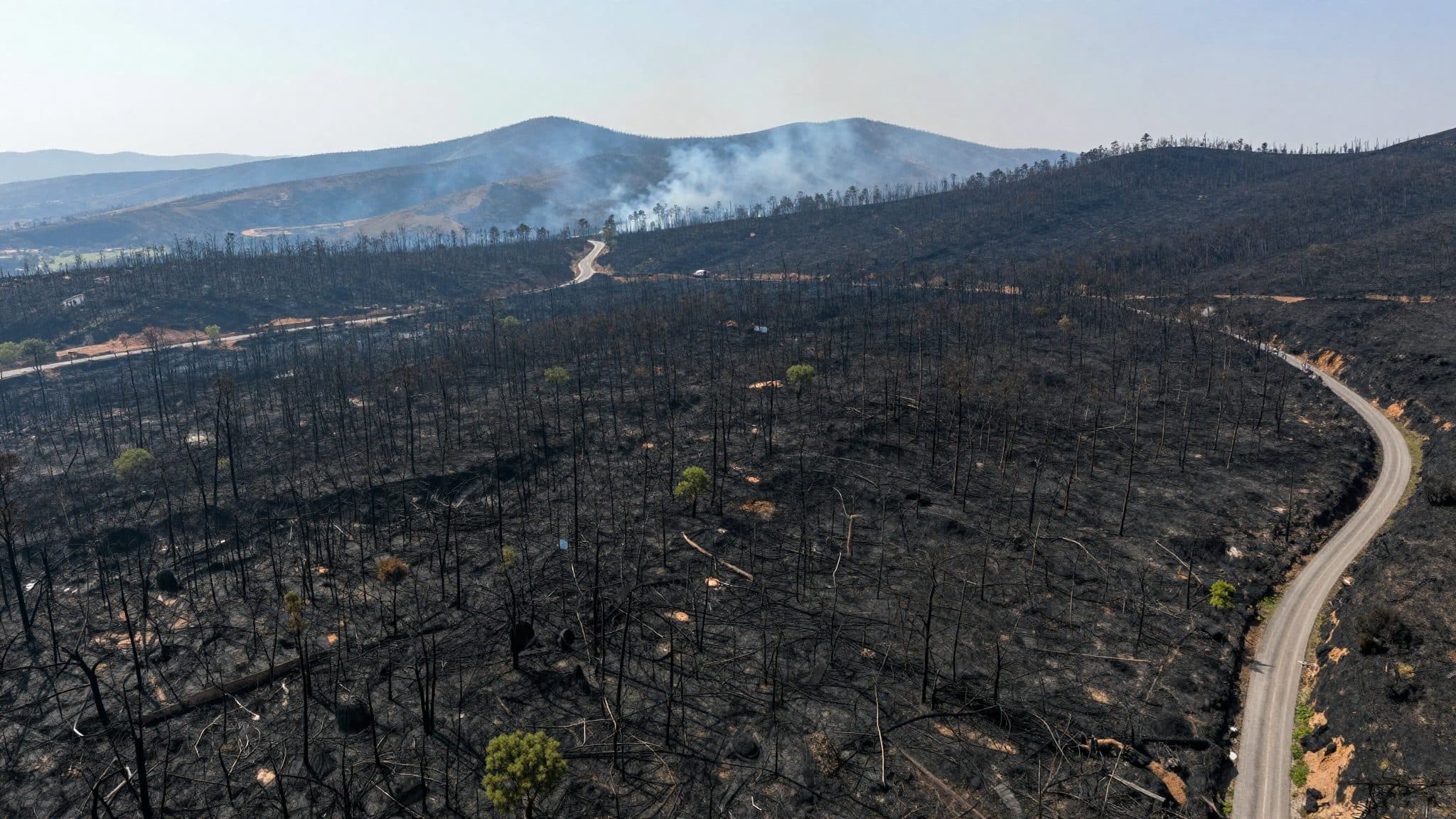 Waldbrand in Spanien: Was geschah und wie die Menschen helfen
