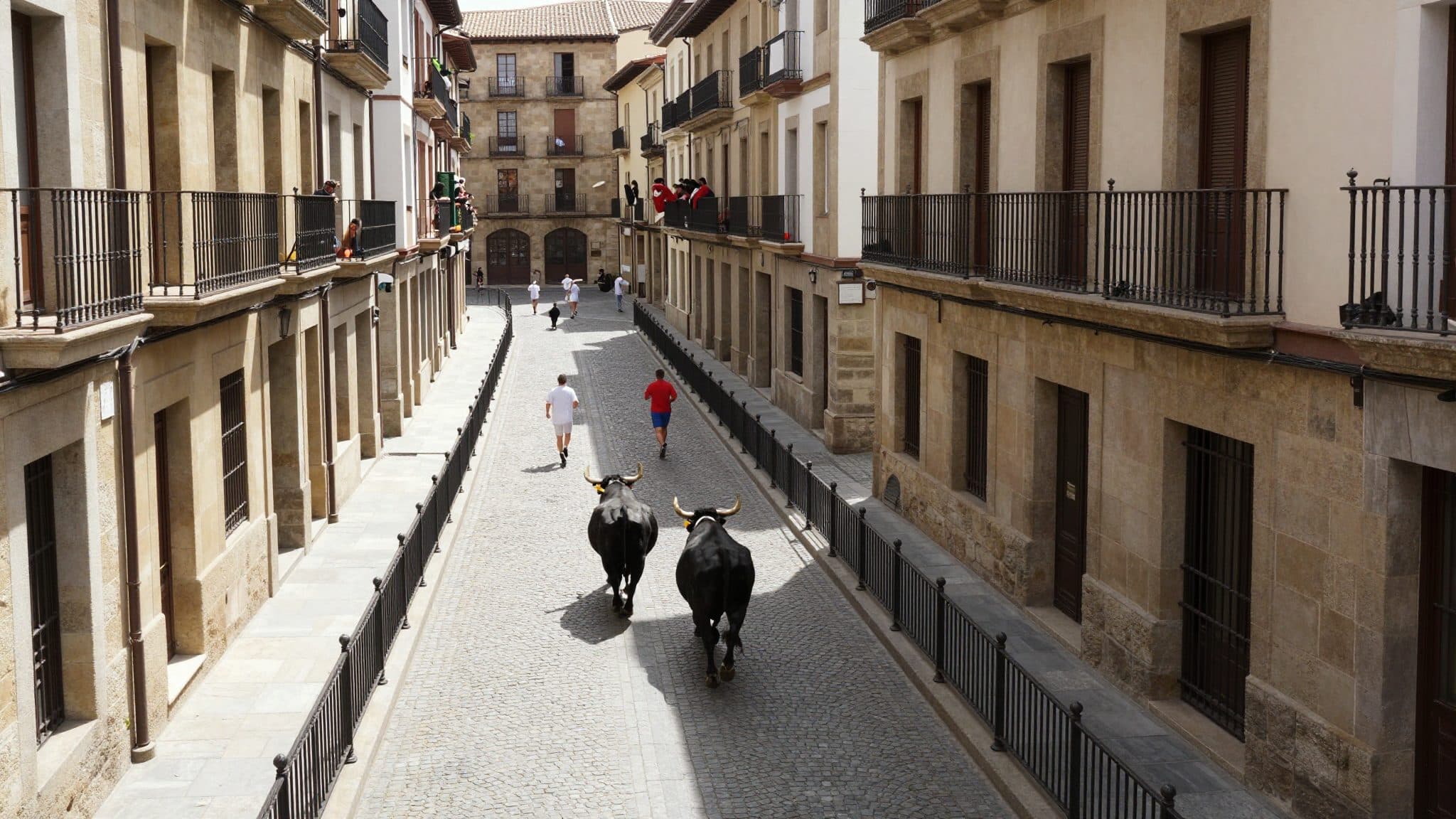 San Fermín in Pamplona: Stierlauf, Proteste und ein alter Streit