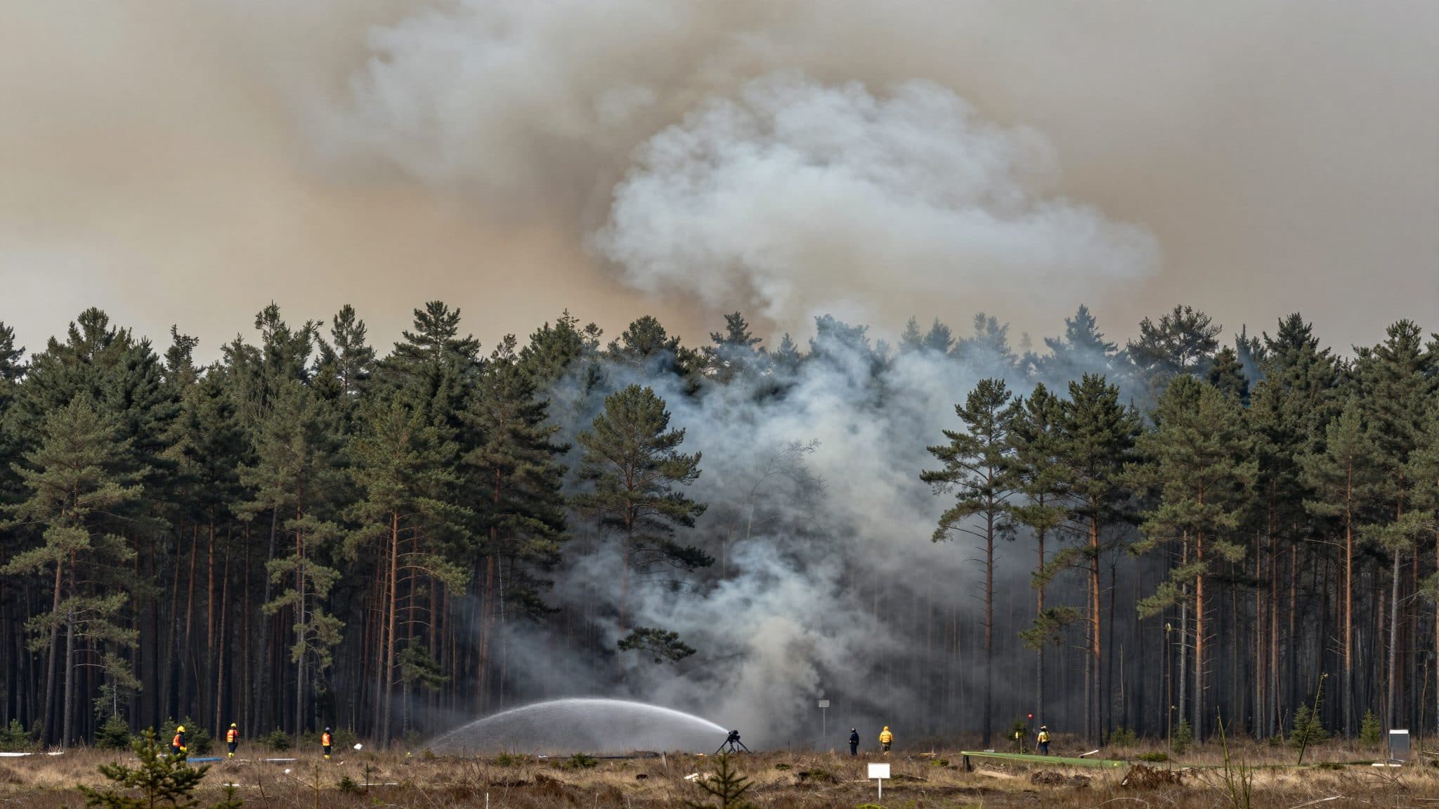 Großer Waldbrand im Müritz-Nationalpark: Was passiert dort gerade?