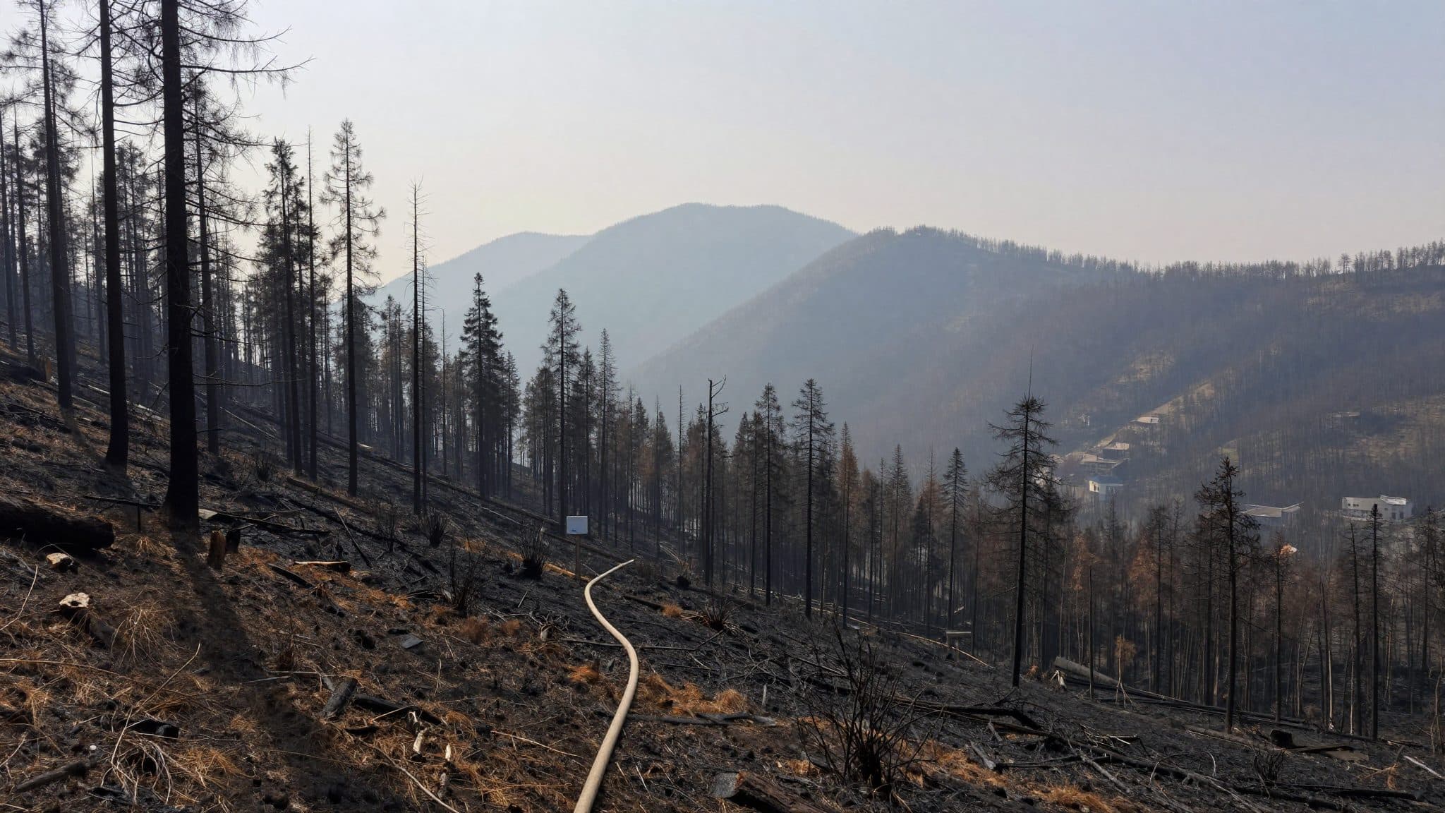 Waldbrand in Tirol gelöscht: 450 Helfer haben das geschafft