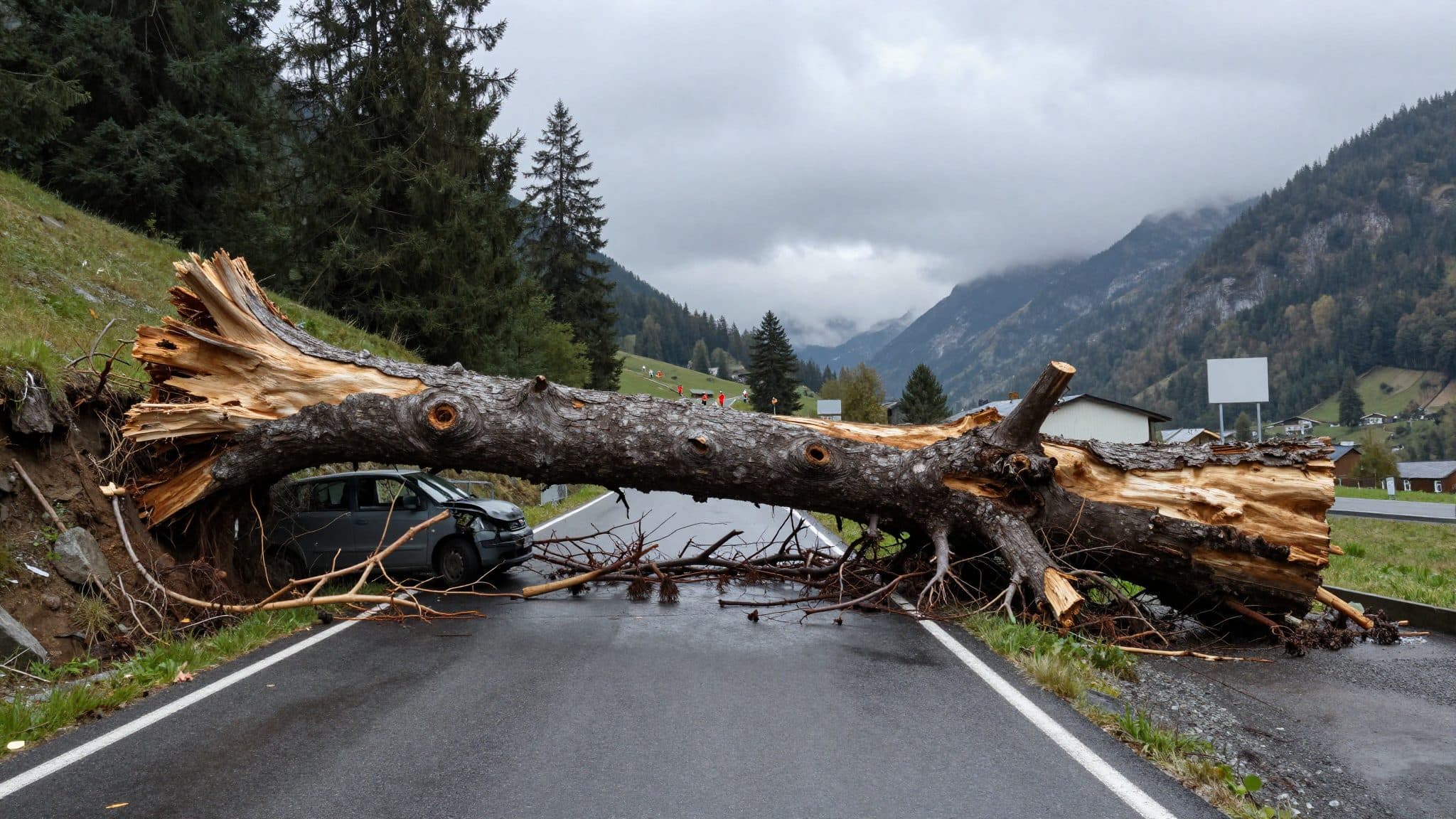 Bei Roppen fällt ein Baum auf ein Auto – alle überstehen es gut