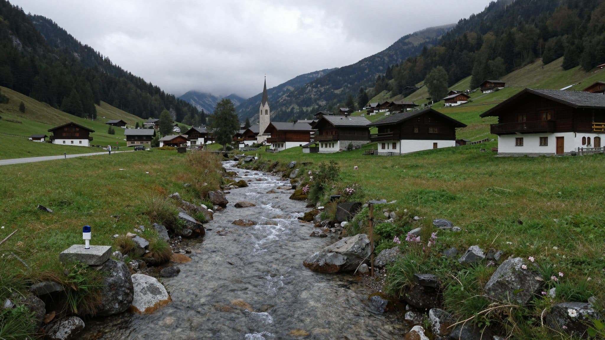Toter Hund in Tirol gefunden – sein Besitzer ist verschwunden